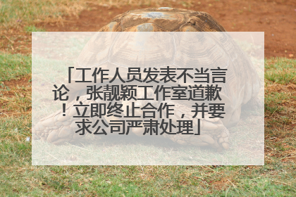 工作人员发表不当言论，张靓颖工作室道歉！立即终止合作，并要求公司严肃处理