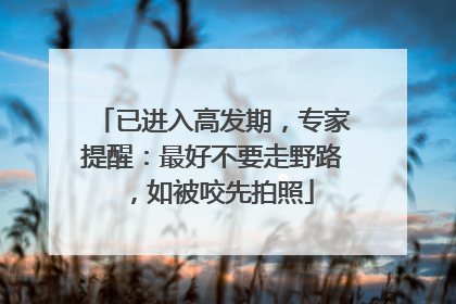 已进入高发期，专家提醒：最好不要走野路，如被咬先拍照