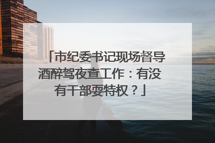 市纪委书记现场督导酒醉驾夜查工作：有没有干部耍特权？