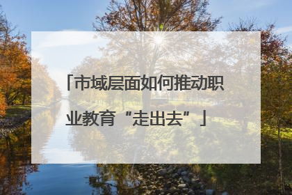 市域层面如何推动职业教育“走出去”