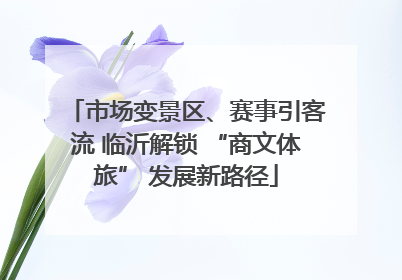 市场变景区、赛事引客流 临沂解锁 “商文体旅” 发展新路径