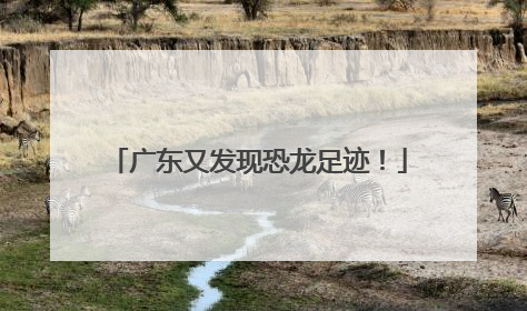 广东又发现恐龙足迹！