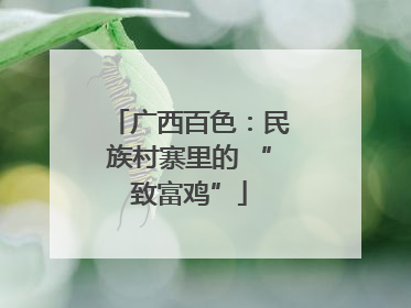 广西百色：民族村寨里的 “致富鸡”