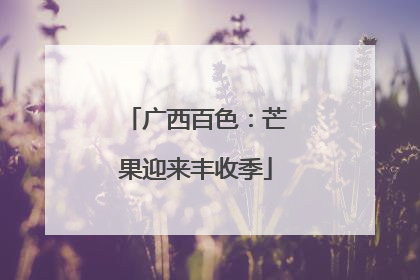 广西百色：芒果迎来丰收季
