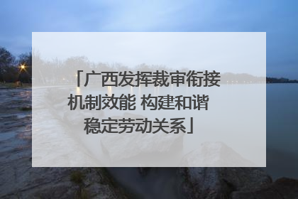 广西发挥裁审衔接机制效能 构建和谐稳定劳动关系
