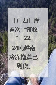 广西口岸首次“签收” 22.24吨越南冷冻榴莲已到货