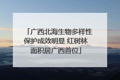 广西北海生物多样性保护成效明显 红树林面积居广西首位