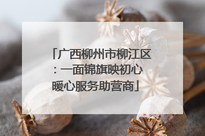 广西柳州市柳江区：一面锦旗映初心 暖心服务助营商