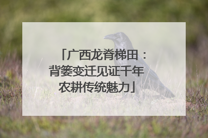 广西龙脊梯田：背篓变迁见证千年农耕传统魅力