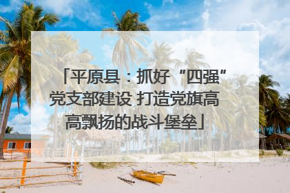 平原县：抓好“四强”党支部建设 打造党旗高高飘扬的战斗堡垒