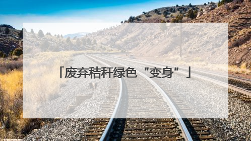 废弃秸秆绿色“变身”