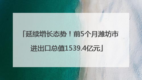 延续增长态势！前5个月潍坊市进出口总值1539.4亿元