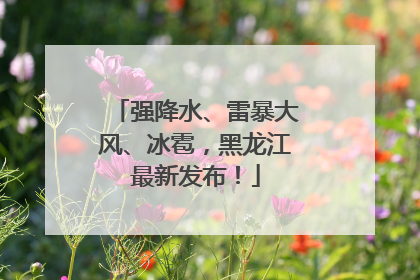 强降水、雷暴大风、冰雹，黑龙江最新发布！
