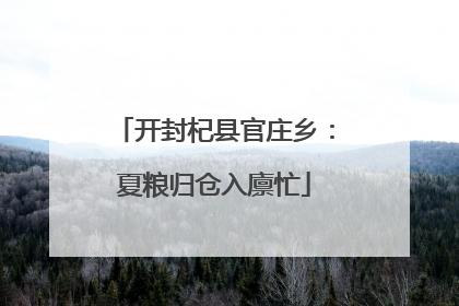 开封杞县官庄乡：夏粮归仓入廪忙