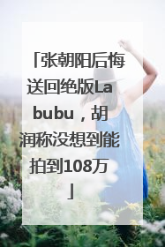 张朝阳后悔送回绝版Labubu，胡润称没想到能拍到108万