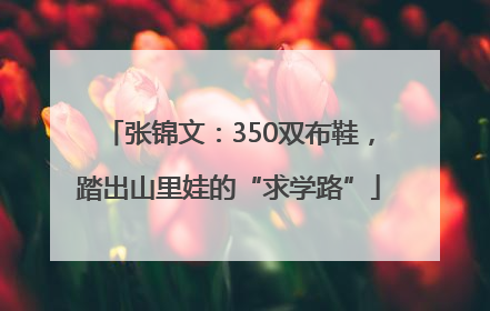 张锦文：350双布鞋，踏出山里娃的“求学路”
