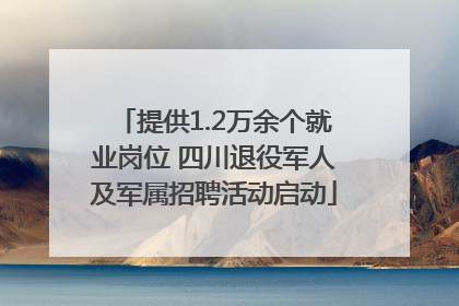 提供1.2万余个就业岗位 四川退役军人及军属招聘活动启动
