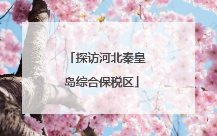 探访河北秦皇岛综合保税区