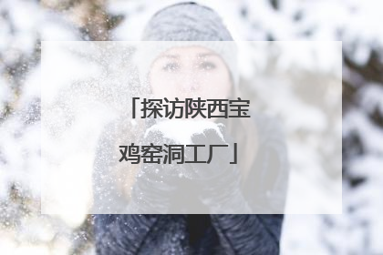 探访陕西宝鸡窑洞工厂