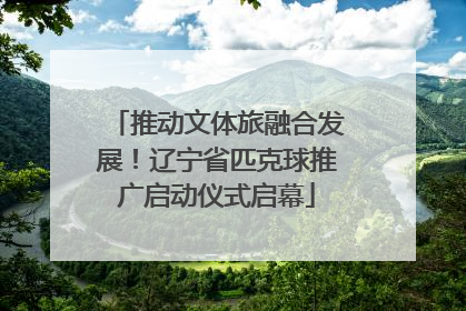 推动文体旅融合发展！辽宁省匹克球推广启动仪式启幕