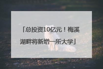 总投资10亿元！梅溪湖畔将新增一所大学