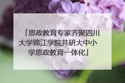 思政教育专家齐聚四川大学锦江学院共研大中小学思政教育一体化