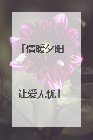 情暖夕阳 让爱无忧
