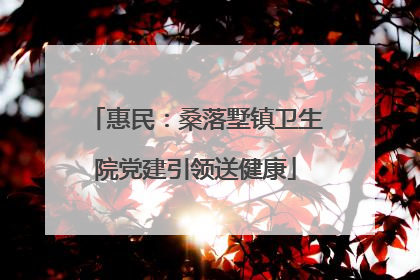 惠民：桑落墅镇卫生院党建引领送健康