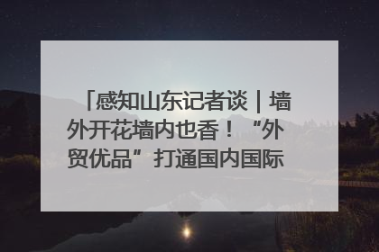 感知山东记者谈｜墙外开花墙内也香！“外贸优品”打通国内国际市场“旋转门”