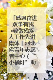 感恩奋进 双争有我•致敬残疾人工作先进集体丨河北省青年志愿者中心（“小橘灯”助残接力计划实施团队）：用温暖陪伴，守护特殊孩子成长