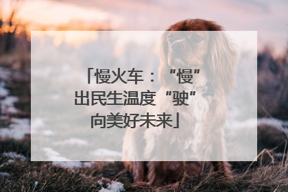 慢火车：“慢”出民生温度“驶”向美好未来