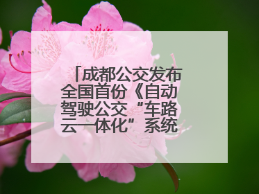 成都公交发布全国首份《自动驾驶公交“车路云一体化”系统联调》白皮书