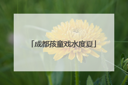 成都孩童戏水度夏