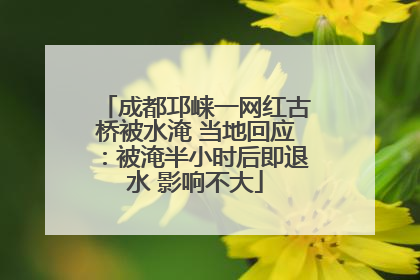 成都邛崃一网红古桥被水淹 当地回应：被淹半小时后即退水 影响不大