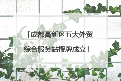 成都高新区五大外贸综合服务站授牌成立