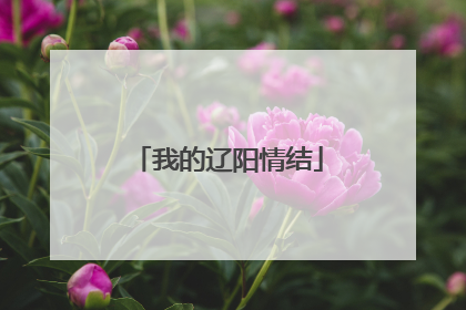 我的辽阳情结