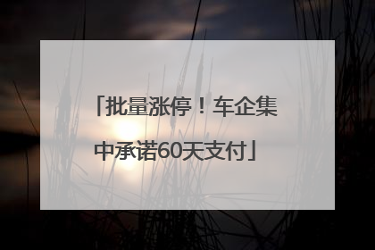 批量涨停！车企集中承诺60天支付