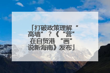 打破政策理解“高墙”？《“营”在自贸港 “画”说新海南》发布