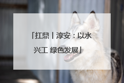扛鼎丨淳安：以水兴工 绿色发展