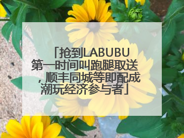抢到LABUBU第一时间叫跑腿取送，顺丰同城等即配成潮玩经济参与者