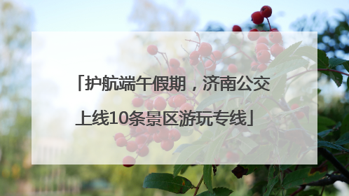 护航端午假期，济南公交上线10条景区游玩专线