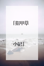指甲草小记