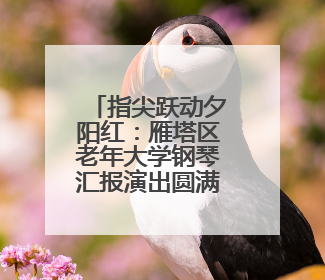 指尖跃动夕阳红：雁塔区老年大学钢琴汇报演出圆满落幕