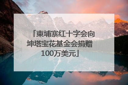 柬埔寨红十字会向坤塔宝花基金会捐赠100万美元