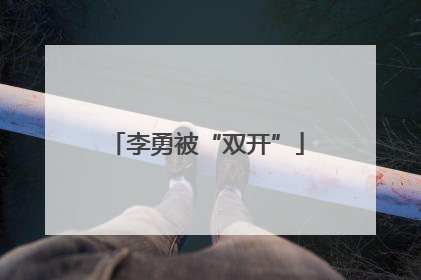 李勇被“双开”