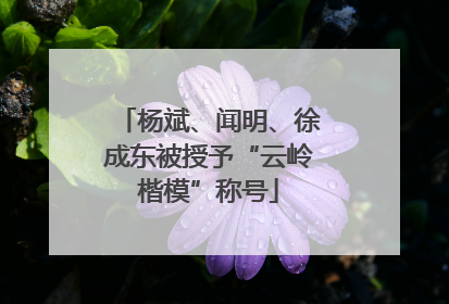 杨斌、闻明、徐成东被授予“云岭楷模”称号