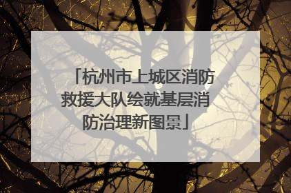 杭州市上城区消防救援大队绘就基层消防治理新图景