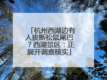 杭州西湖边有人拔断松鼠尾巴？西湖景区：正展开调查核实