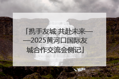 携手友城 共赴未来——2025黄河口国际友城合作交流会侧记