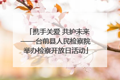 携手关爱 共护未来——台前县人民检察院举办检察开放日活动